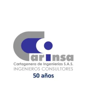 Logo de Carinsa